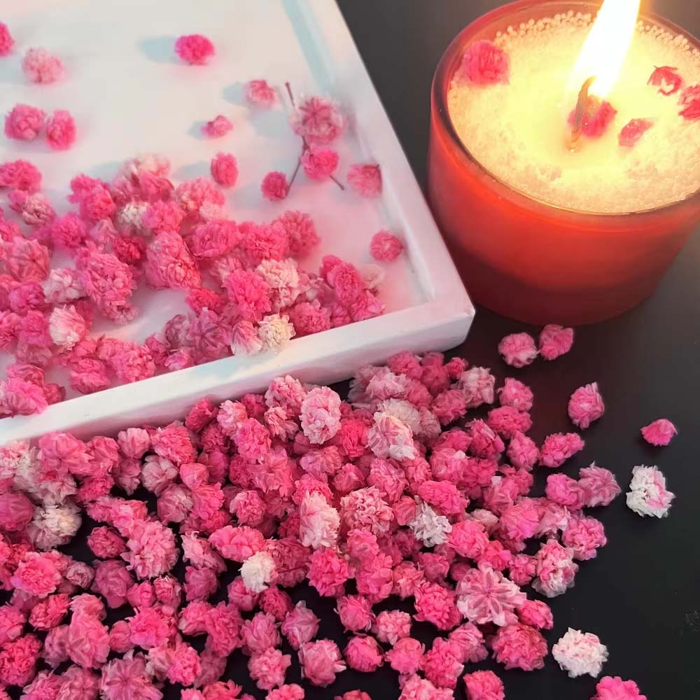1 Box Blumenmischung für Baste – Resin Art Earrings Design Bewertung und Preis