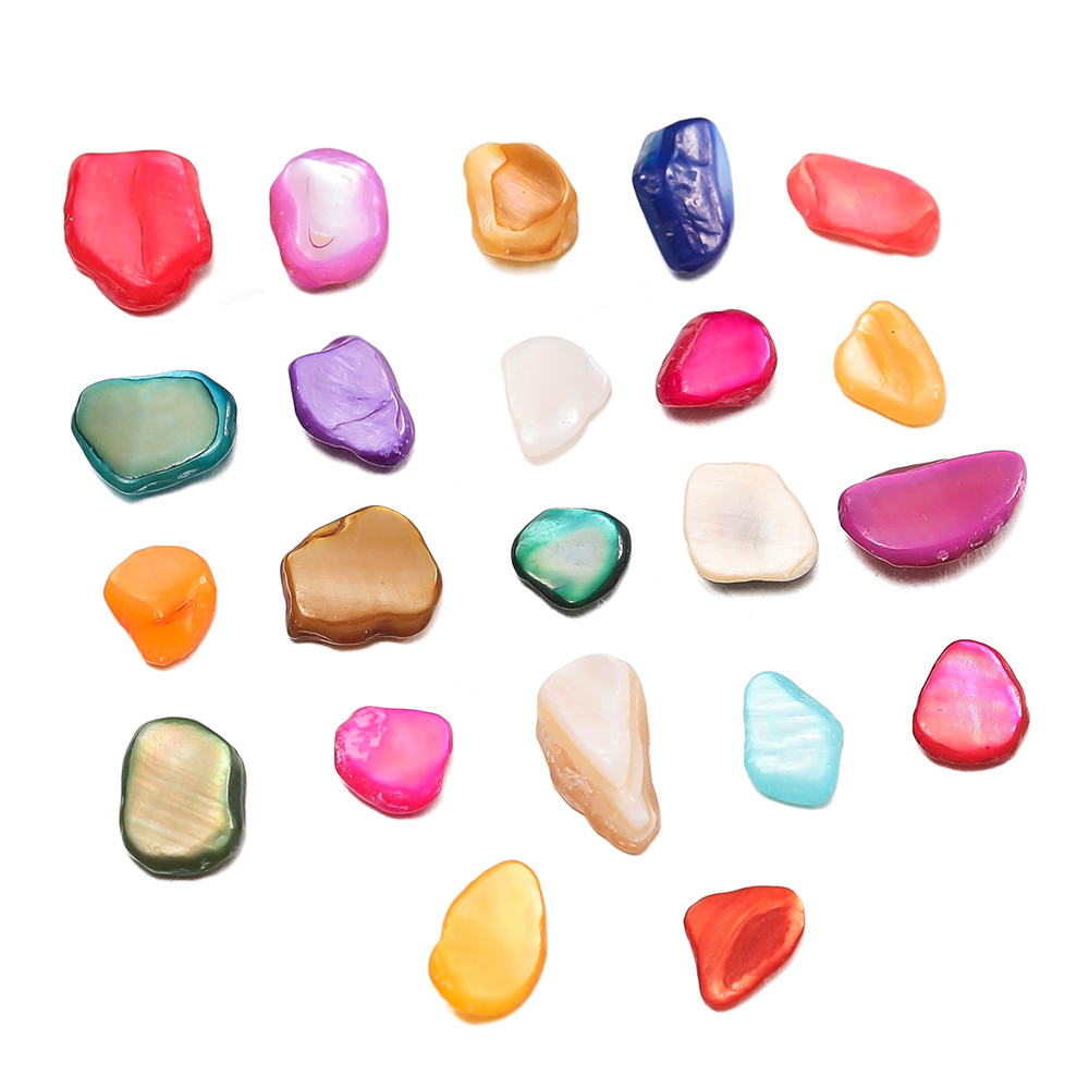 20g 50g gemischte Muschelfragm – Resin Art Stone Bewertung und Preis